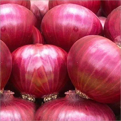 Onions